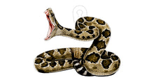 Load image into Gallery viewer, AR500 / AR550 VIVID-X RATTLESNAKE