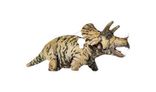 Load image into Gallery viewer, AR500 / AR550 VIVID-X TRICERATOPS