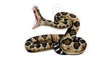 Load image into Gallery viewer, AR500 / AR550 VIVID-X RATTLESNAKE
