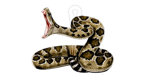 Snake Target 3/8” Rattlesnake Targets: 3/8” AR500 or AR550 Silhouette Target VIVIDX ...