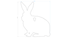 Load image into Gallery viewer, 3/8&quot; AR500 / AR550 RABBIT

