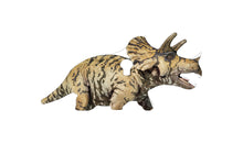 Load image into Gallery viewer, AR500 / AR550 VIVID-X TRICERATOPS
