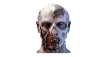 Load image into Gallery viewer, AR500 / AR550 VIVID-X ZOMBIE &quot;MAX&quot;
